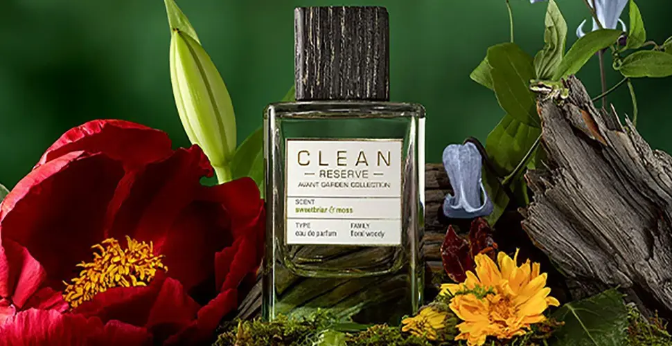 Discover the Best Sustainable Fragrance Brands for Your Collection